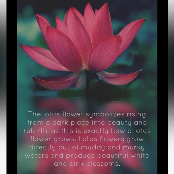 Elegant Lotus Flower Adjustable Wrap Cutout Ring- Stainless Steel - Picture 8 of 8